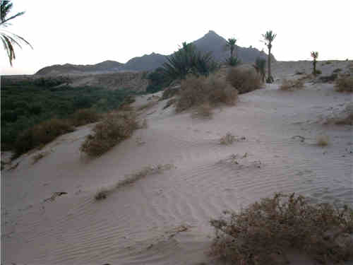 figuig, Des sables