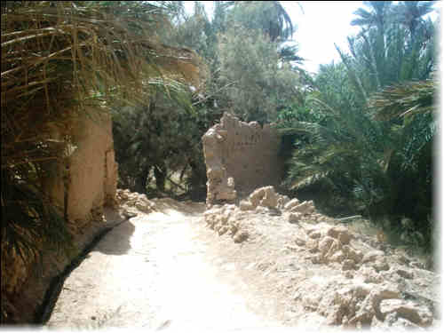 figuig, Ruelles et conduits entre jardins