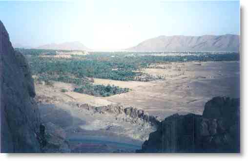 figuig, Vue générale sur la palmeraie de Figuig